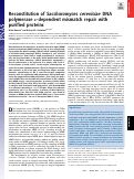 Cover page: Reconstitution of Saccharomyces cerevisiae DNA polymerase ε-dependent mismatch repair with purified proteins