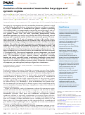 Cover page: Evolution of the ancestral mammalian karyotype and syntenic regions