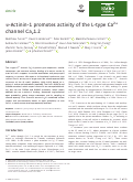 Cover page: α‐Actinin‐1 promotes activity of the L‐type Ca2+ channel Cav1.2