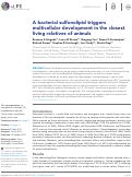 Cover page: A bacterial sulfonolipid triggers multicellular development in the closest living relatives of animals