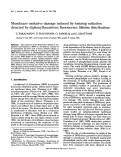 Cover page: Membrane Oxidative Damage Induced by Ionizing Radiation Detected by Diphenylhexatriene Fluorescence Lifetime Distributions