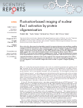 Cover page: Fluctuation-based imaging of nuclear Rac1 activation by protein oligomerisation