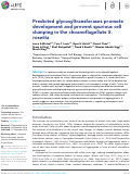 Cover page: Predicted glycosyltransferases promote development and prevent spurious cell clumping in the choanoflagellate S. rosetta