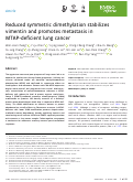 Cover page: Reduced symmetric dimethylation stabilizes vimentin and promotes metastasis in MTAP‐deficient lung cancer