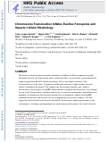 Cover page: Chromosome Translocation Inflates Bacillus Forespores and Impacts Cellular Morphology