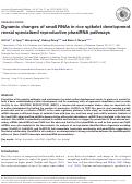 Cover page: Dynamic changes of small RNAs in rice spikelet development reveal specialized reproductive phasiRNA pathways.