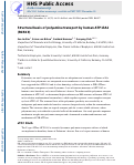 Cover page: Structural basis of polyamine transport by human ATP13A2 (PARK9)