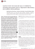 Cover page: Lipotoxic brain microvascular injury is mediated by activating transcription factor 3-dependent inflammatory and oxidative stress pathways