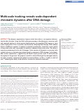 Cover page: Multi-scale tracking reveals scale-dependent chromatin dynamics after DNA damage