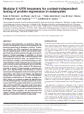 Cover page: Modular 5′-UTR hexamers for context-independent tuning of protein expression in eukaryotes