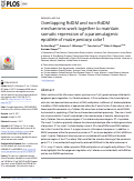 Cover page: Overlapping RdDM and non-RdDM mechanisms work together to maintain somatic repression of a paramutagenic epiallele of maize pericarp color1.