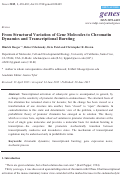Cover page: From Structural Variation of Gene Molecules to Chromatin Dynamics and Transcriptional Bursting