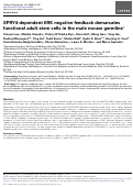 Cover page: SPRY4-dependent ERK negative feedback demarcates functional adult stem cells in the male mouse germline†.