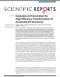 Cover page: Evaluation of Parameters for High Efficiency Transformation of Acinetobacter baumannii