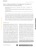 Cover page: The α2δ-1 subunit remodels CaV1.2 voltage sensors and allows Ca2+ influx at physiological membrane potentials.