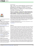 Cover page: Skp, Cullin, F-box (SCF)-Met30 and SCF-Cdc4-Mediated Proteolysis of CENP-A Prevents Mislocalization of CENP-A for Chromosomal Stability in Budding Yeast