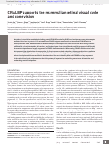 Cover page: CRALBP supports the mammalian retinal visual cycle and cone vision