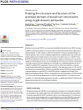 Cover page: Probing the structure and function of the protease domain of botulinum neurotoxins using single-domain antibodies