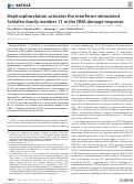 Cover page: Dephosphorylation activates the interferon-stimulated Schlafen family member 11 in the DNA damage response