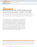 Cover page: Allele-specific binding of RNA-binding proteins reveals functional genetic variants in the RNA