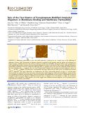 Cover page: Role of the Fast Kinetics of Pyroglutamate-Modified Amyloid‑β Oligomers in Membrane Binding and Membrane Permeability