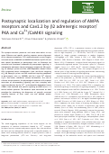 Cover page: Postsynaptic localization and regulation of AMPA receptors and Cav1.2 by β2 adrenergic receptor/PKA and Ca2+/CaMKII signaling