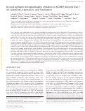 Cover page: A novel epileptic encephalopathy mutation in KCNB1 disrupts Kv2.1 ion selectivity, expression, and localization