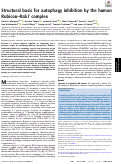 Cover page: Structural basis for autophagy inhibition by the human Rubicon–Rab7 complex