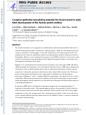 Cover page: Complex epithelial remodeling underlie the fusion event in early fetal development of the human penile urethra