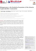 Cover page: Metagenomes in the Borderline Ecosystems of the Antarctic Cryptoendolithic Communities