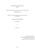 Cover page: Mathematical Modeling of Tumor Growth and Metabolism