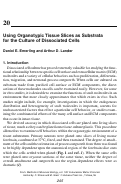 Cover page: Using organotypic tissue slices as substrata for the culture of dissociated cells.