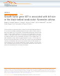 Cover page: Growth factor gene IGF1 is associated with bill size in the black-bellied seedcracker Pyrenestes ostrinus