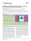 Cover page: Morphology–Conductivity Relationship of Single-Ion-Conducting Block Copolymer Electrolytes for Lithium Batteries