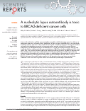 Cover page: A nucleolytic lupus autoantibody is toxic to BRCA2-deficient cancer cells