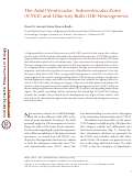 Cover page: The Adult Ventricular-Subventricular Zone (V-SVZ) and Olfactory Bulb (OB) Neurogenesis.