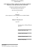 Cover page: Gold Mining in Peru: Company Strategies, Everyday Violence, and the Politics of Attention