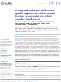 Cover page: A computational model predicts sex-specific responses to calcium channel blockers in mammalian mesenteric vascular smooth muscle