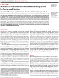 Cover page: Mid-Holocene Northern Hemisphere warming driven by Arctic amplification