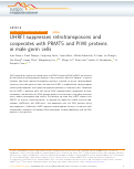 Cover page: UHRF1 suppresses retrotransposons and cooperates with PRMT5 and PIWI proteins in male germ cells