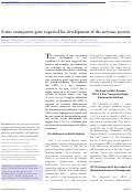 Cover page: A zinc transporter gene required for development of the nervous system