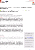 Cover page: Identification of Novel Protein Lysine Acetyltransferases in Escherichia coli.