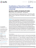 Cover page: Contribution of dorsal horn CGRP-expressing interneurons to mechanical sensitivity