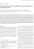 Cover page: Diverse Behaviors of Outer Radial Glia in Developing Ferret and Human Cortex