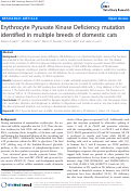 Cover page: Erythrocyte Pyruvate Kinase Deficiency mutation identified in multiple breeds of domestic cats