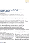 Cover page: Identification of Genes Uniquely Expressed in the Germ-Line Tissues of the Jewel Wasp Nasonia vitripennis