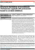 Cover page of Structural elucidation of recombinant Trichomonas vaginalis 20S proteasome bound to covalent inhibitors