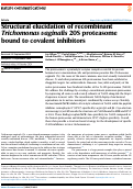 Cover page: Structural elucidation of recombinant Trichomonas vaginalis 20S proteasome bound to covalent inhibitors