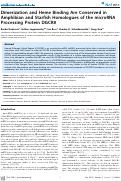 Cover page: Dimerization and Heme Binding Are Conserved in Amphibian and Starfish Homologues of the microRNA Processing Protein DGCR8