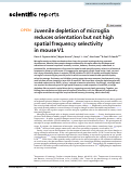 Cover page: Juvenile depletion of microglia reduces orientation but not high spatial frequency selectivity in mouse V1